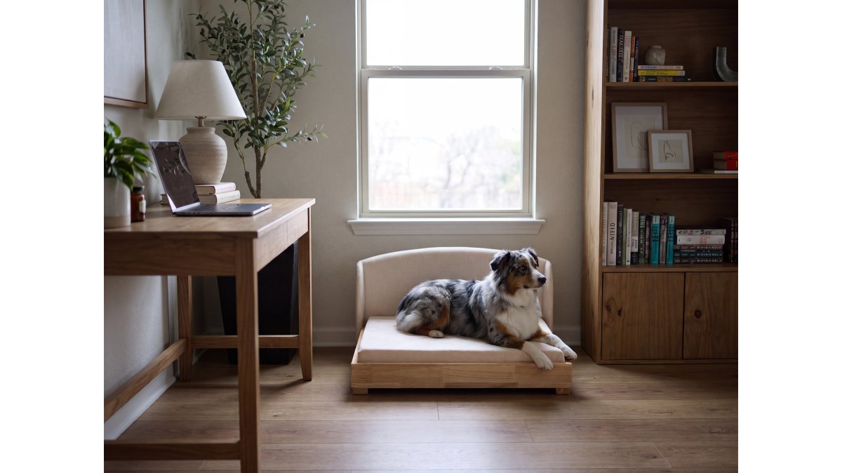 How to Choose Orthopedic Dog Beds: A 2026 Guide