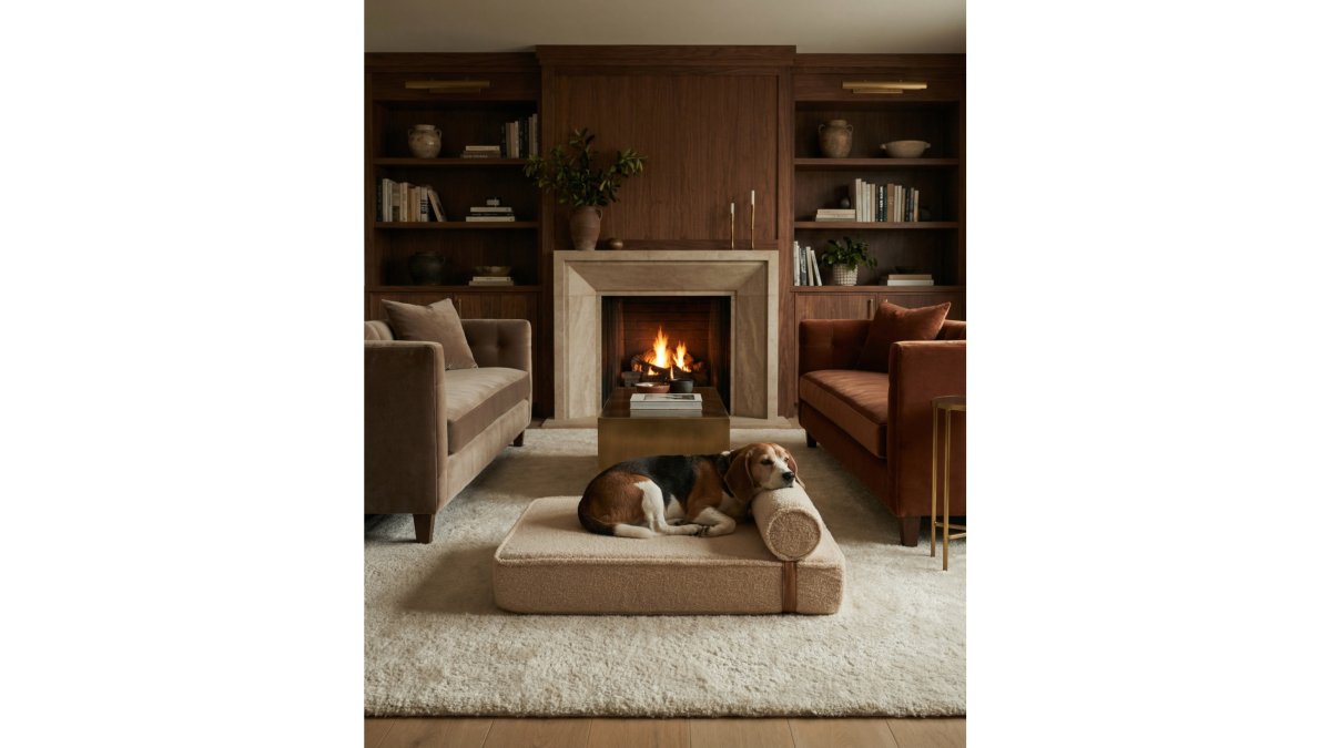 How to Clean Waterproof Dog Beds: A 2026 Guide