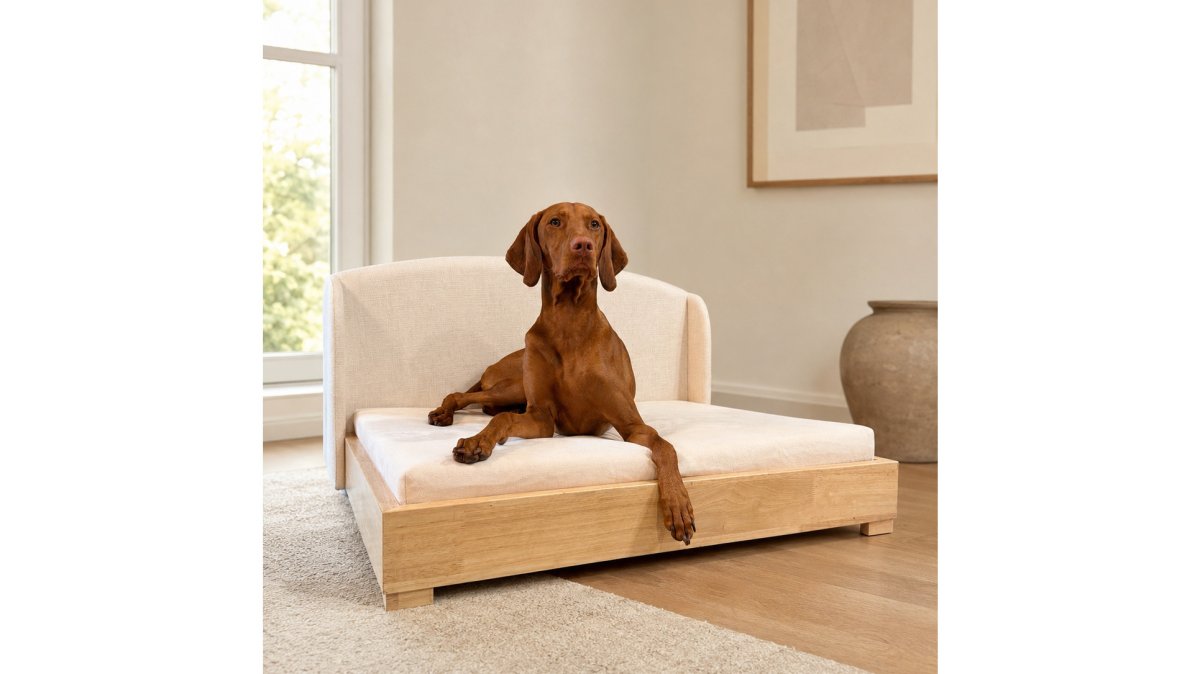 Orthopedic Dog Bed Buying Guide 2026