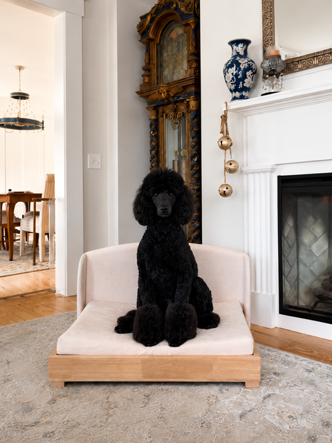 A black Standard Poodle lying on the Haven dog bed beside a fireplace in a customer's home