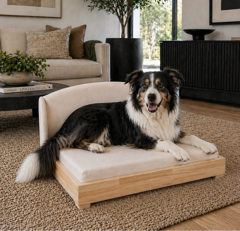 A Border Collie lying on the Haven dog bed in a customer's home