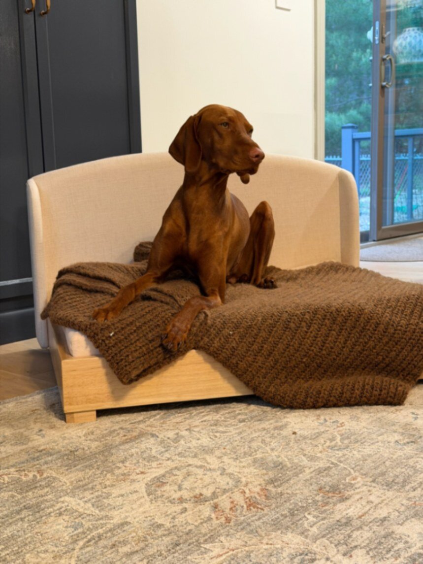 A Haven at home